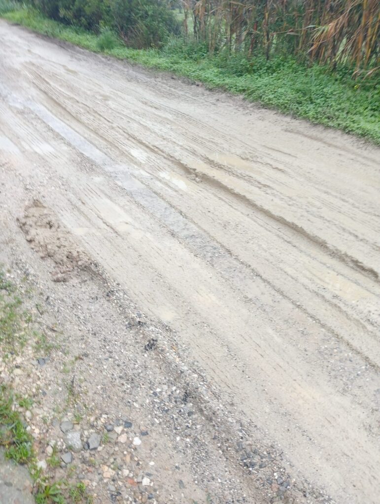 Fotografía 18 del archivo vecinal de caminos y lluvias de El Berrueco