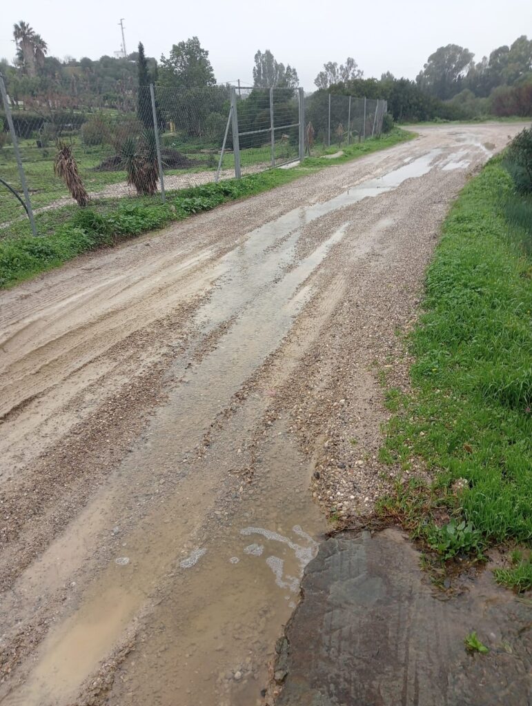 Fotografía 08 del archivo vecinal de caminos y lluvias de El Berrueco
