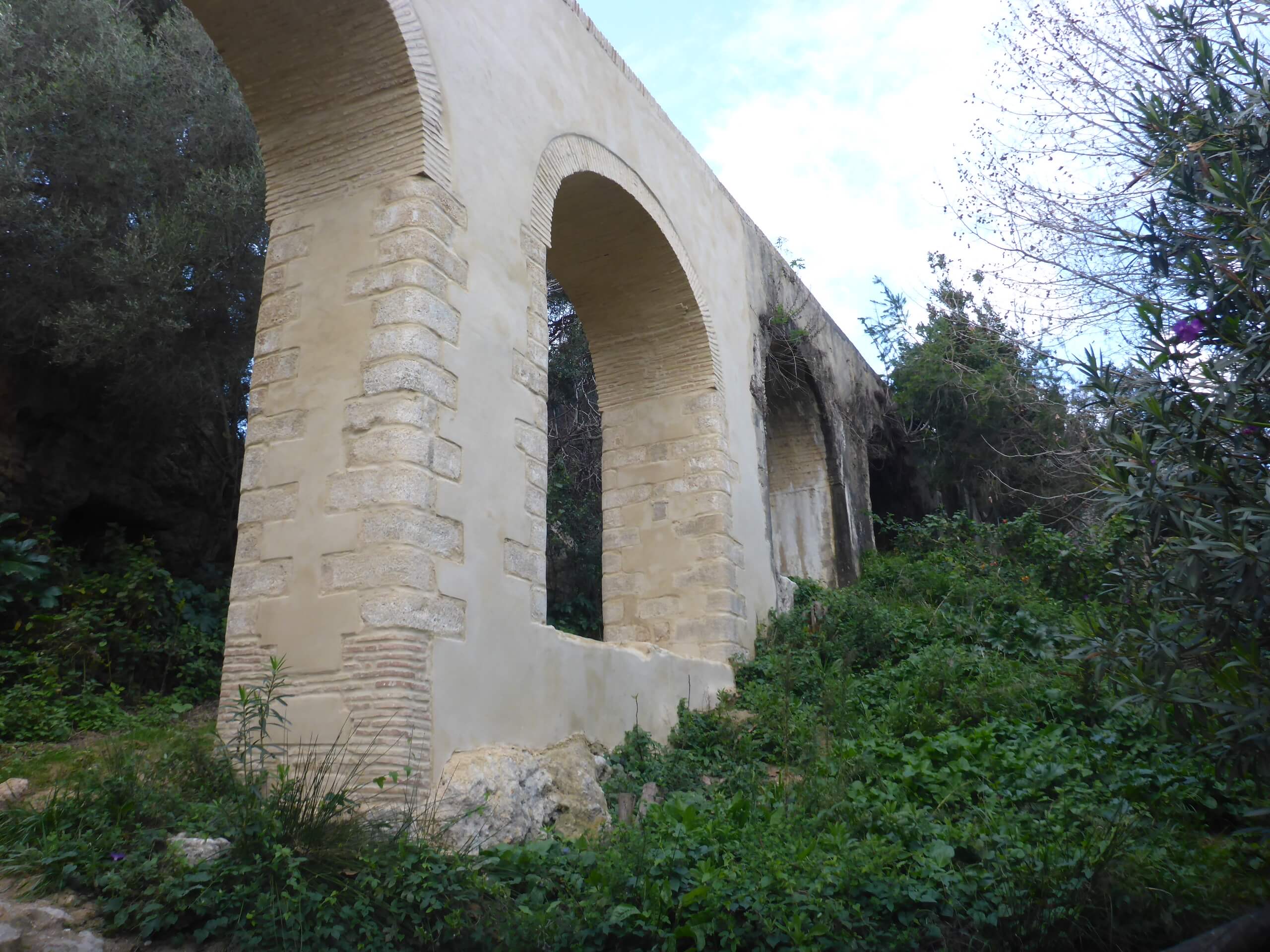 Arcos del acueducto de Santa Lucía entre la vegetación en Vejer de la Frontera